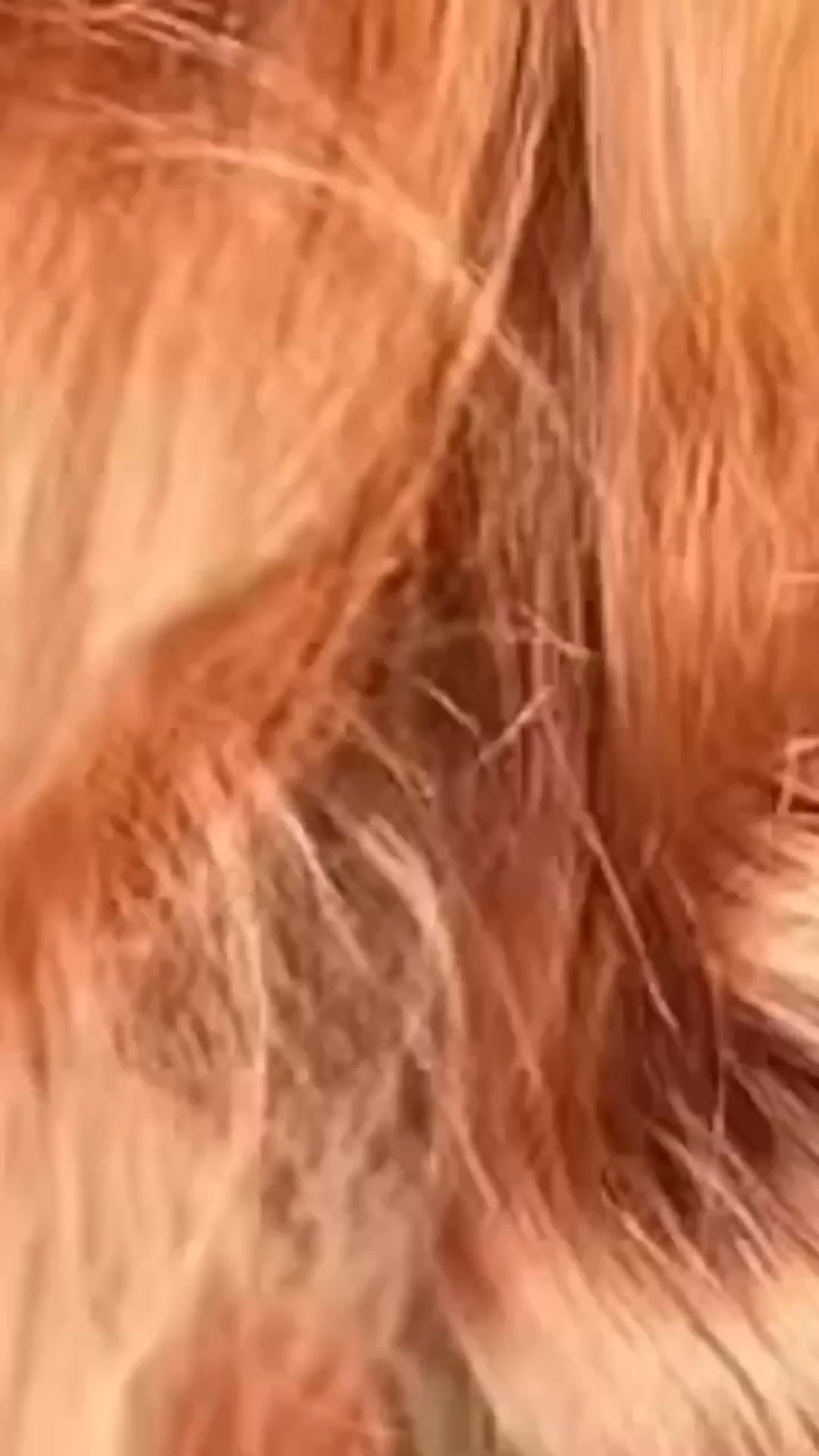 MaryRuth's ad: The “Viral” Vitamin for Hair Growth