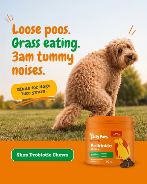 Zesty Paws UK ad: Made for dogs like yours.