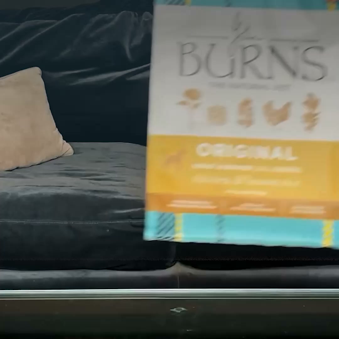 Burns Pet Nutrition ad: Nutrition for Every Dog