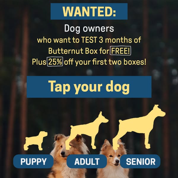 Butternut Box ad: 🐶Are you a dog owner?🐶