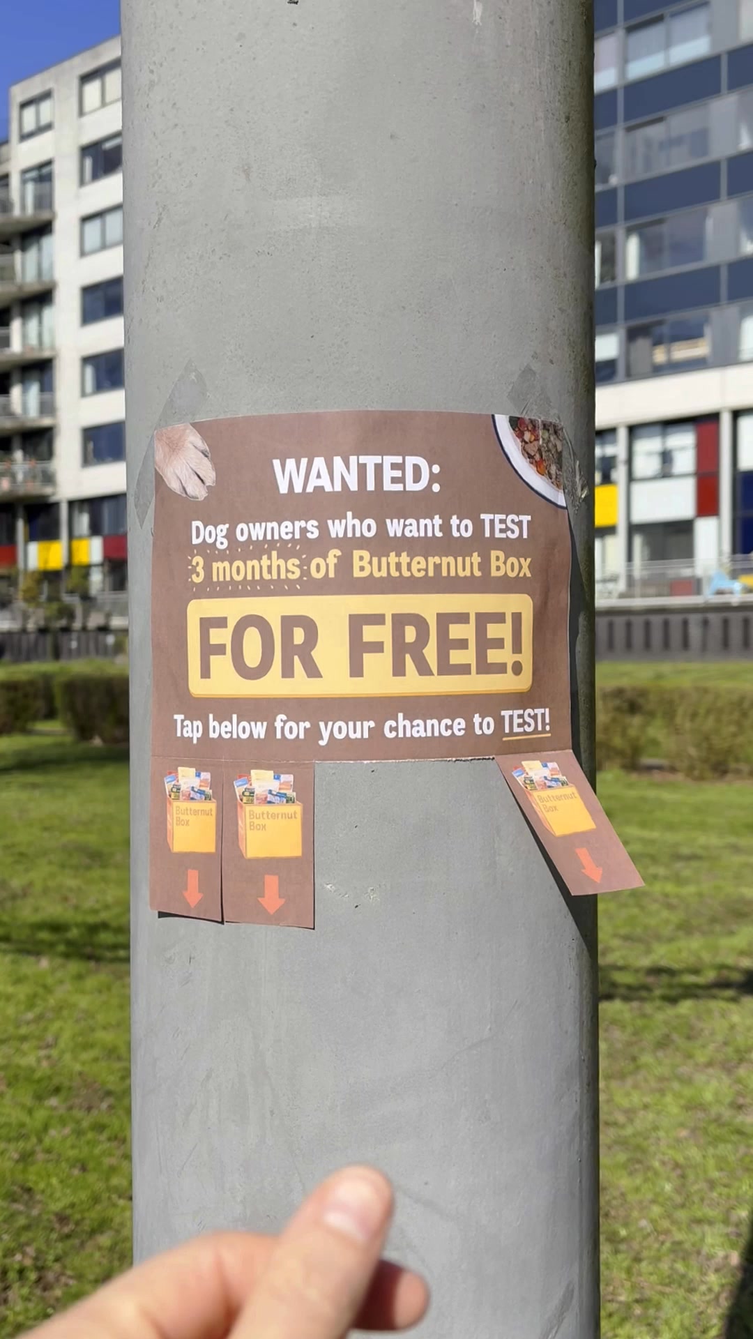 Butternut Box ad: 🐶Are you a dog owner?🐶