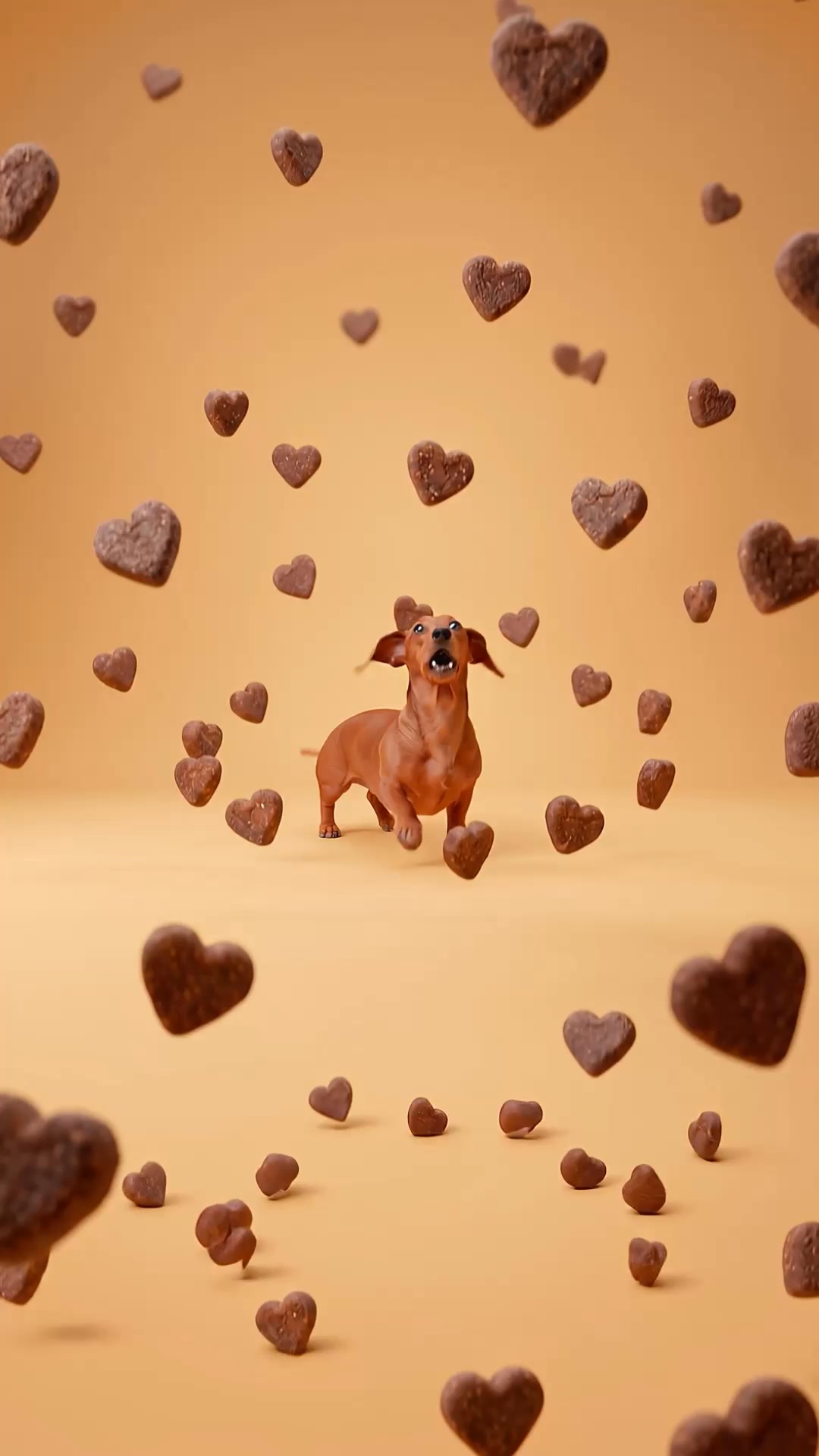 Zesty Paws UK ad: Trusted Daily Dog Wellness