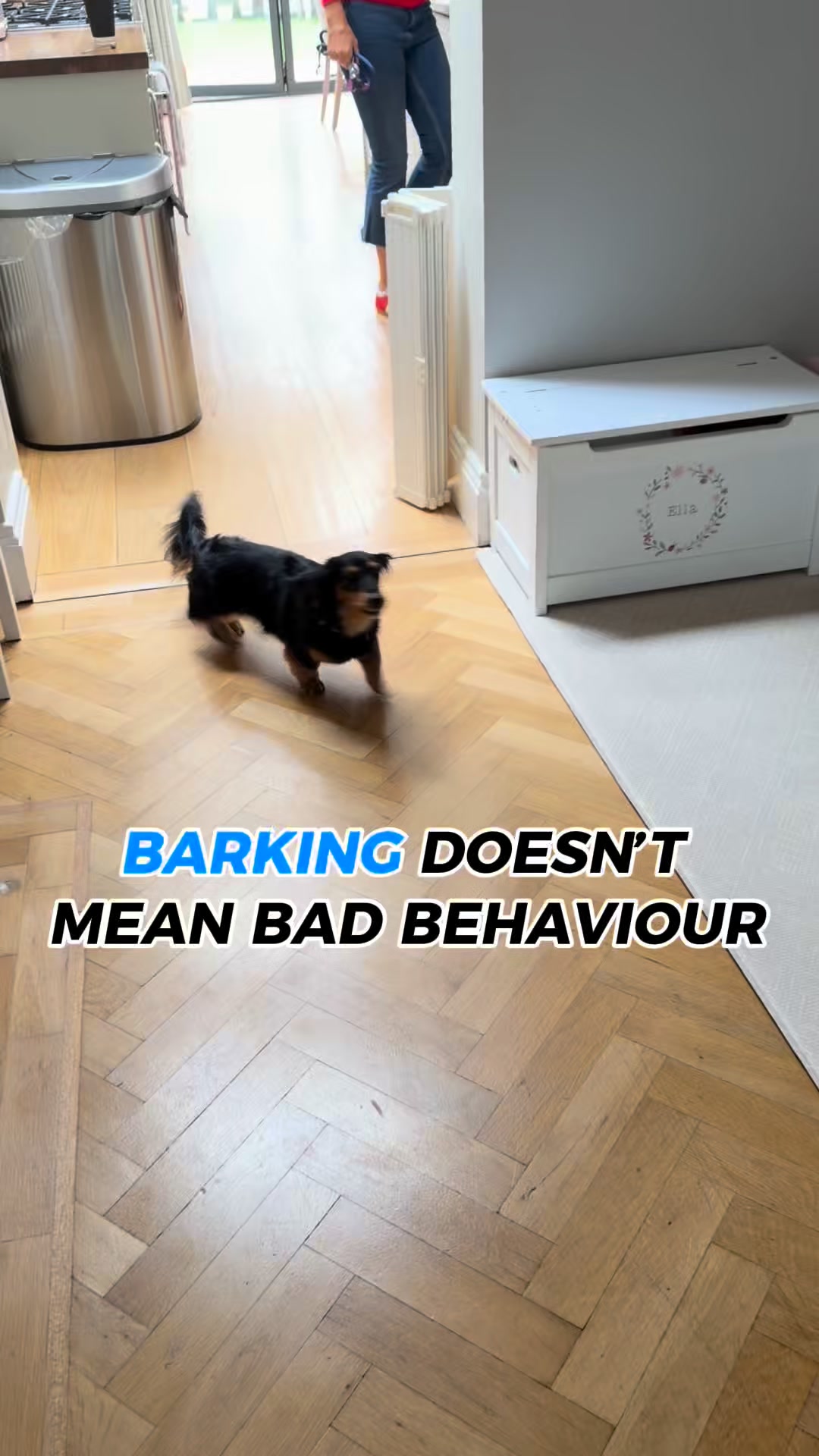 Pawd Drinks ad: Daily Calm for Anxious Dogs