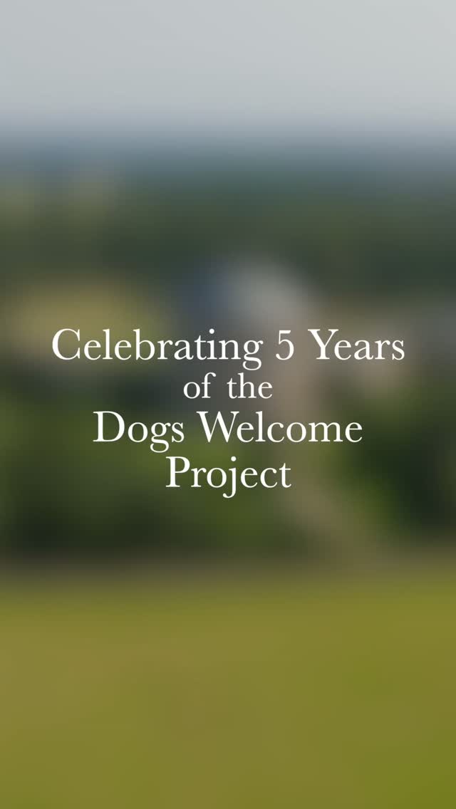 Forthglade Natural Pet Food ad: 5 years of wagging tails and National Trust trails 🐾 5 years ago, we set out with the National Trust to make exploring together a little ea