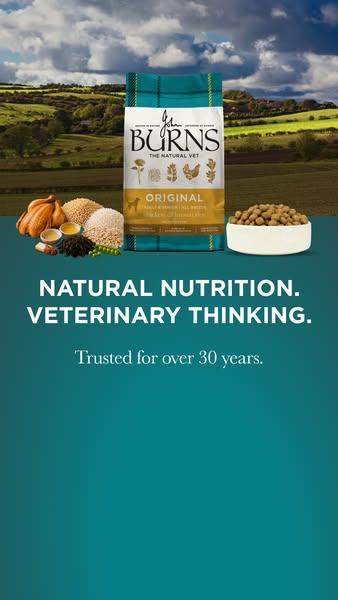 Burns Pet Nutrition ad: Puppy, adult, senior, sensitive, or watching their weight — Burns has a recipe for every dog, at every stage. 🐾 Each recipe is made with th