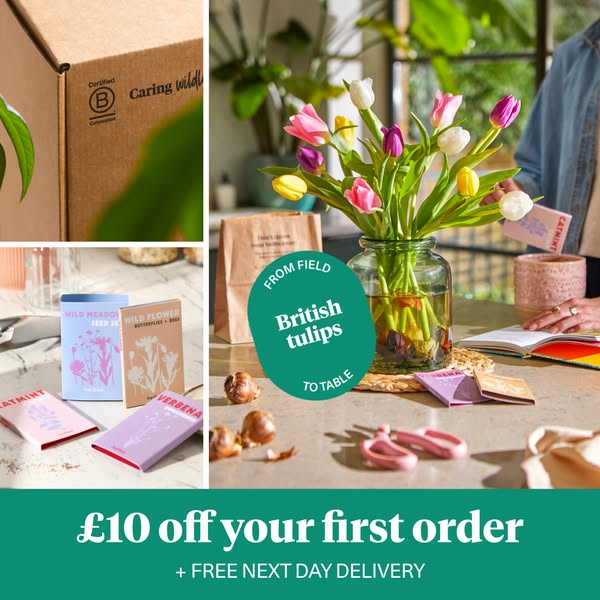 Bloom & Wild ad: £10 off your first order