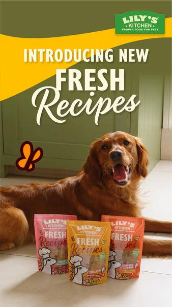 Lily's Kitchen ad: Fresh deliciousness ahead
