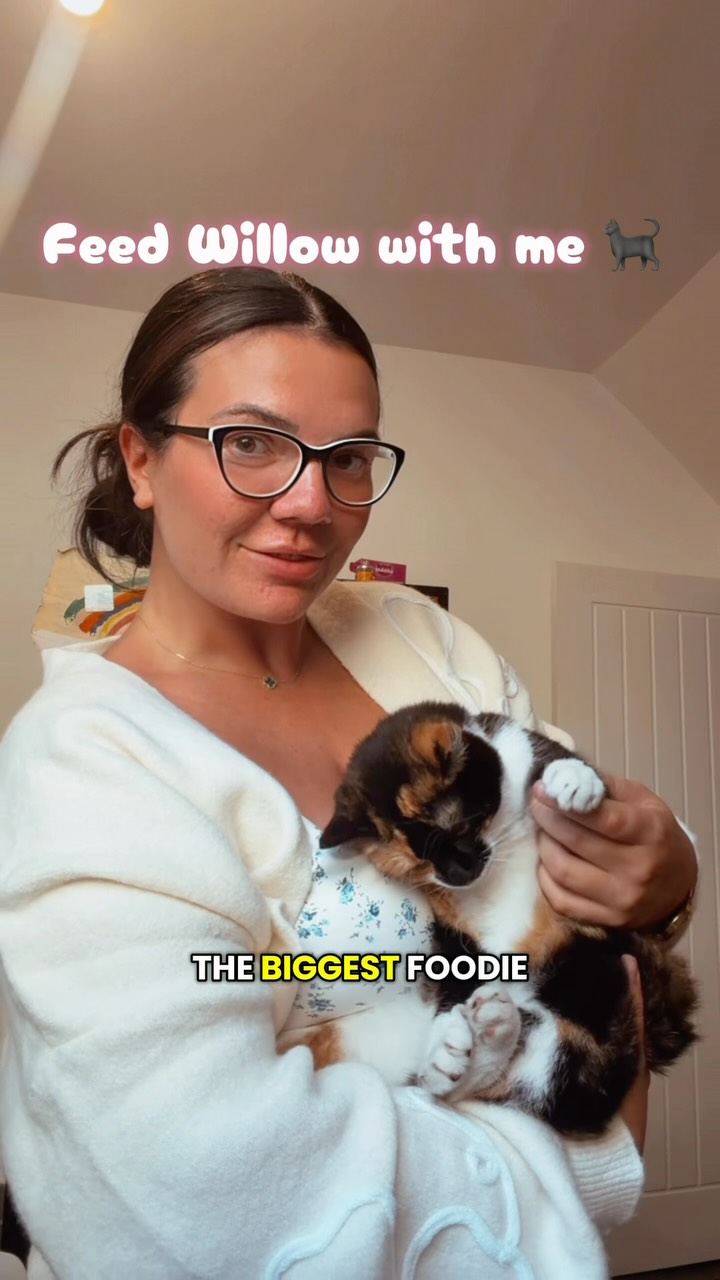 KatKin ad: AD| Willow’s newest obsession. 🐱🤍 Fresh, real meat, no grains, sugars or fillers… just an empty bowl every time!🤩 Use my code 50AMBER for
