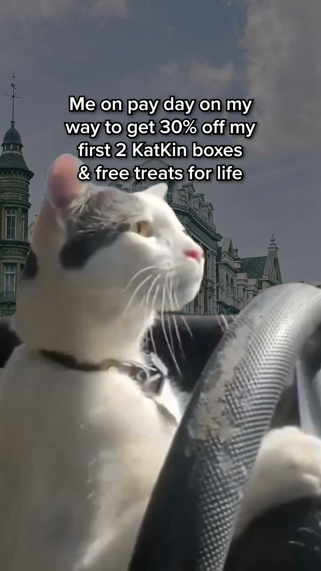 KatKin ad: 100% fresh meat for healthy cats