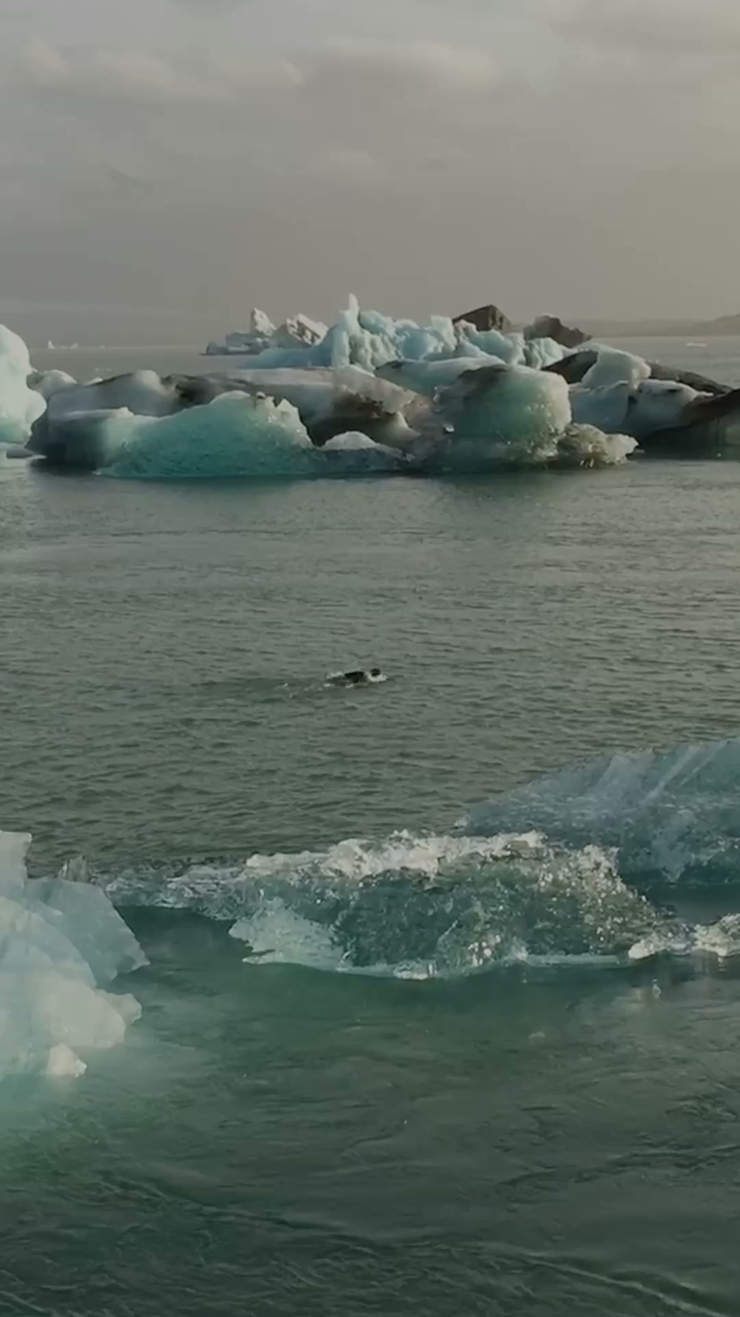 Vivobarefoot ad: Free your feet