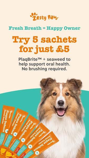 Zesty Paws UK ad: Cleaner teeth for just £5