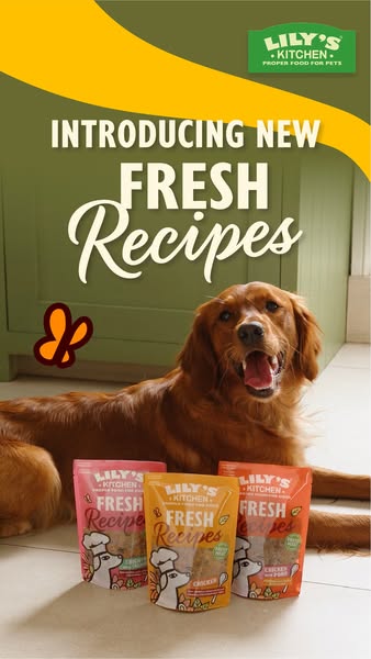 Lily's Kitchen ad: Fresh deliciousness ahead