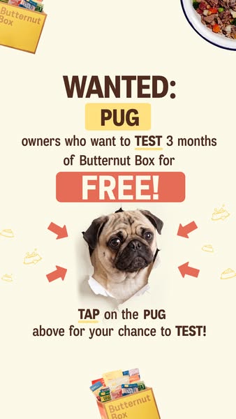 Butternut Box ad: 🐶 WANTED: PUG owners! 🐶