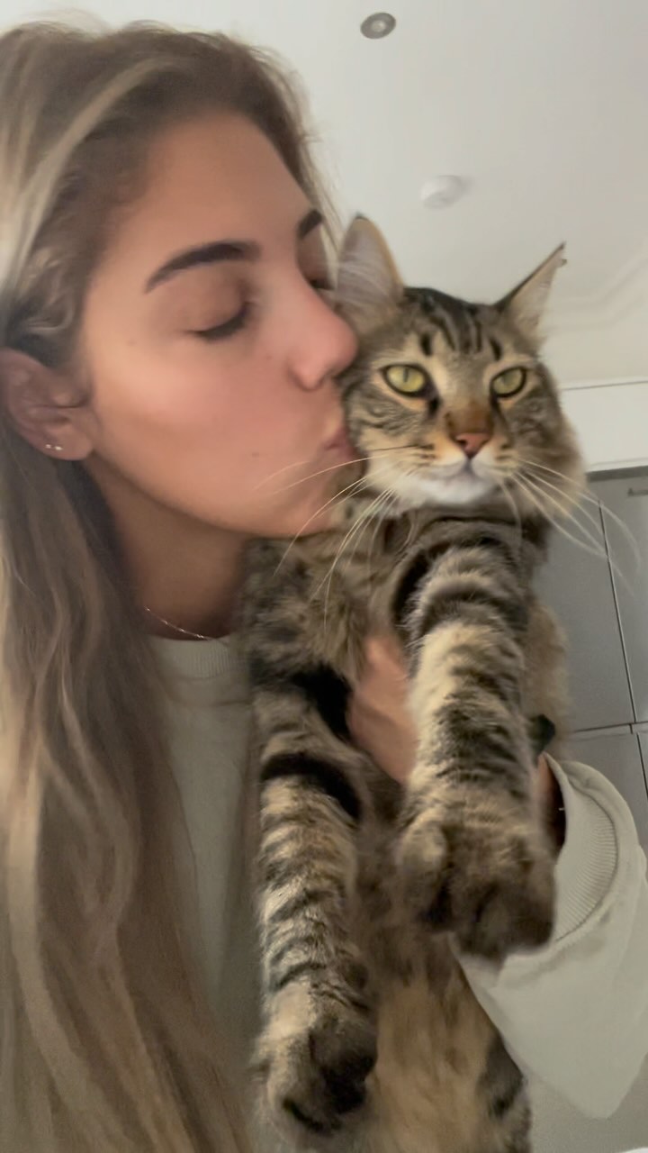 KatKin ad: 50% off fresh cat food @katkin.club with code ANNA50 🙌🏼 Since switching to @katkin.club Lucky has a shinier smoother coat 😍 and he’s so m