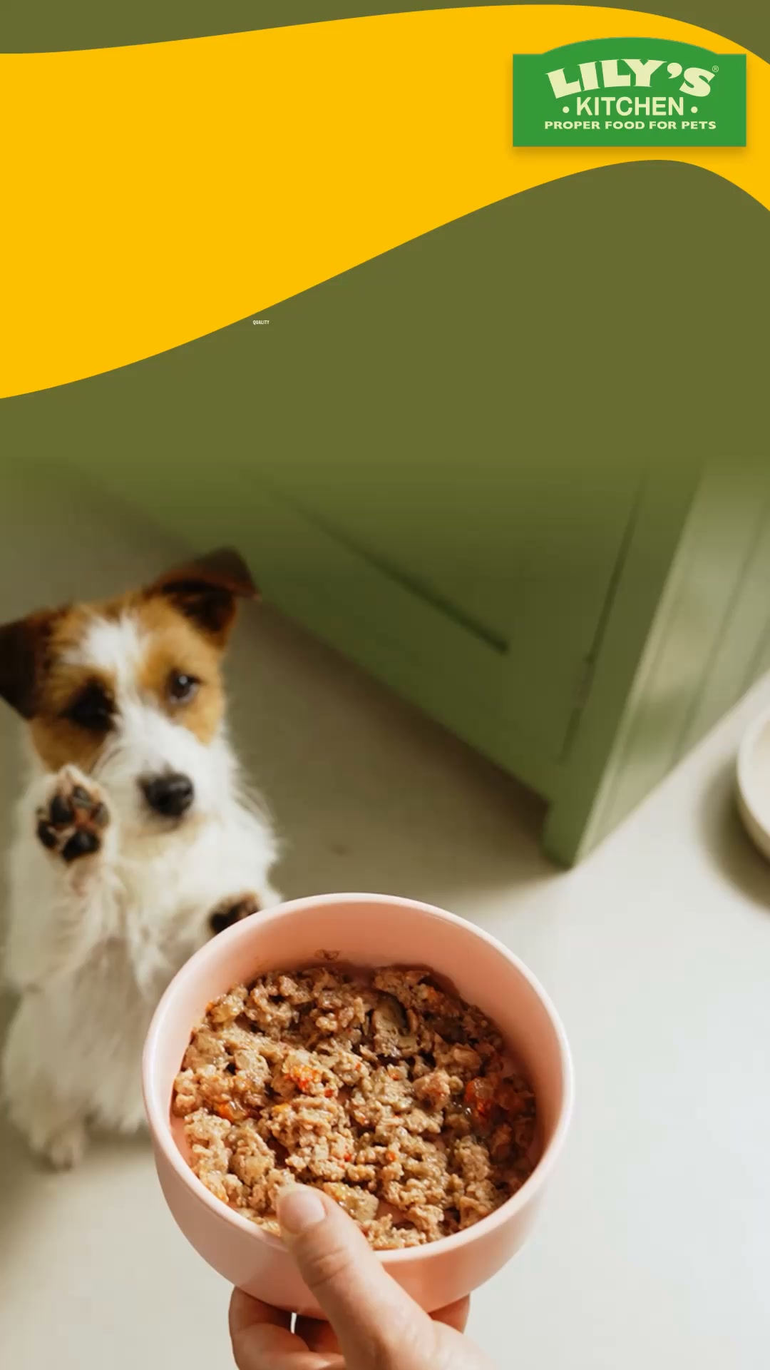 Lily's Kitchen ad: Fresh deliciousness ahead