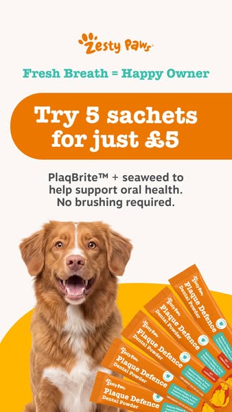 Zesty Paws UK ad: Fresher breath for just £5