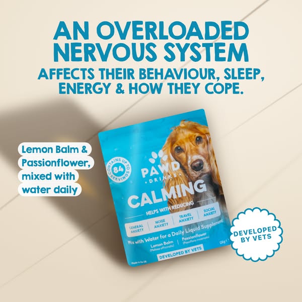 Pawd Drinks ad: Daily Calm for Anxious Dogs