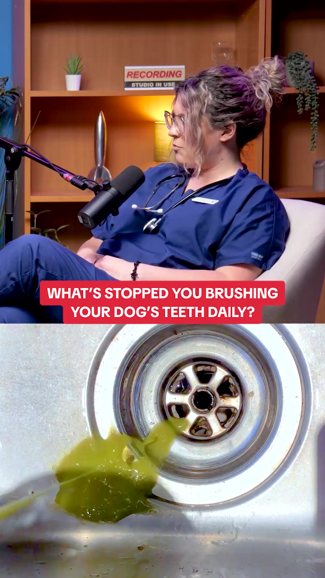 PetLab Co. ad: Vet shares an easy way to clean your dog's teeth (no toothbrush needed)