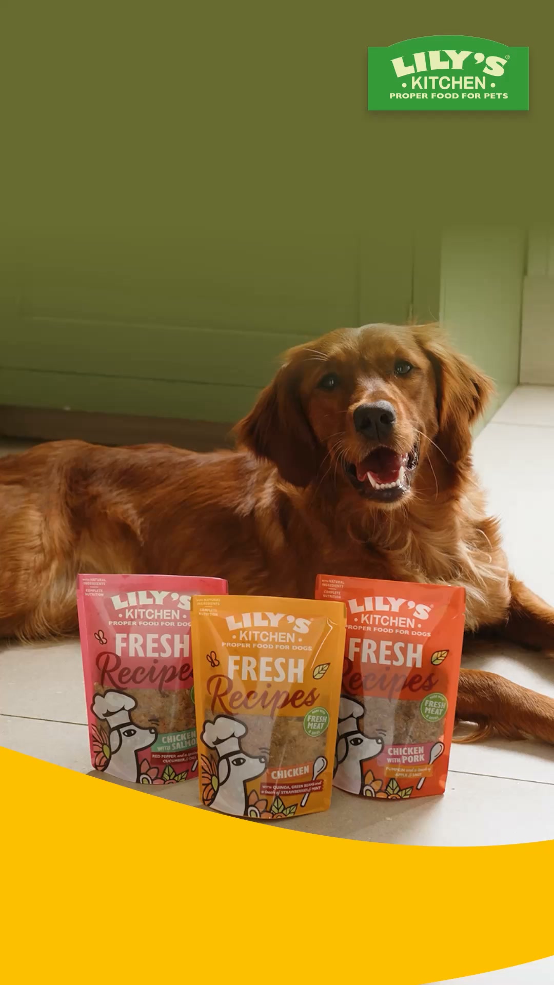Lily's Kitchen ad: Find your dog’s favourite