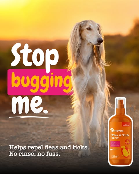 Zesty Paws UK ad: A clear message for uninvited guests.