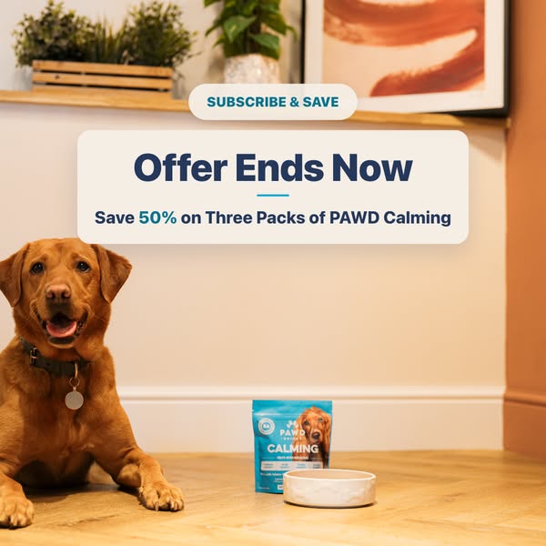 Pawd Drinks ad: Daily Calm for Anxious Dogs