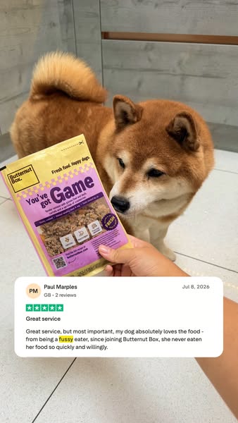 Butternut Box ad: Butternut Box: Fetch 25% Off Your First Two Boxes