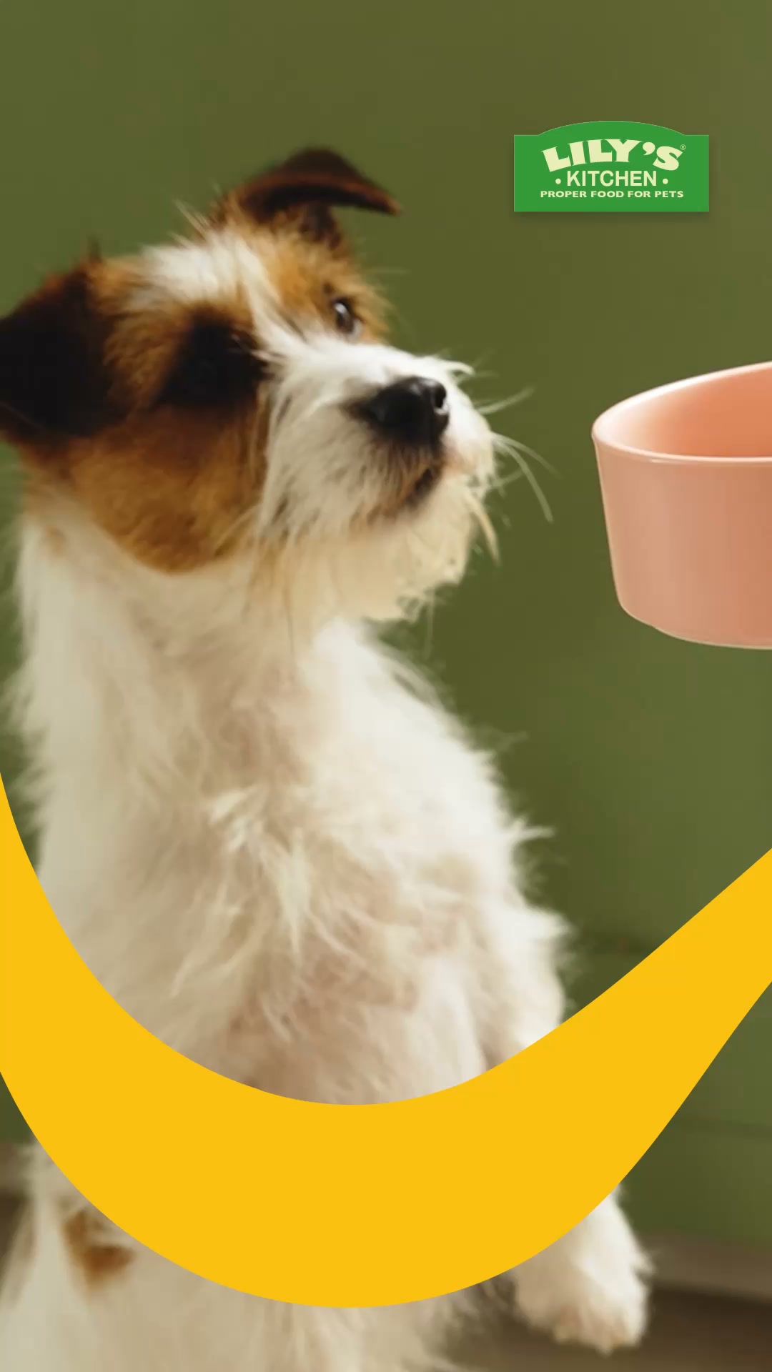 Lily's Kitchen ad: OH SO FRESH!™
