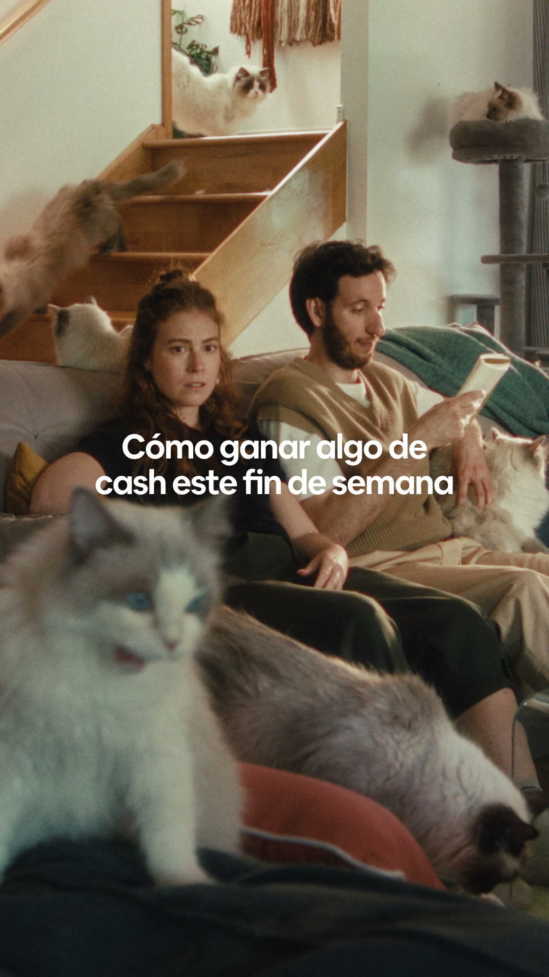 Airbnb ad: es.airbnb.com/host