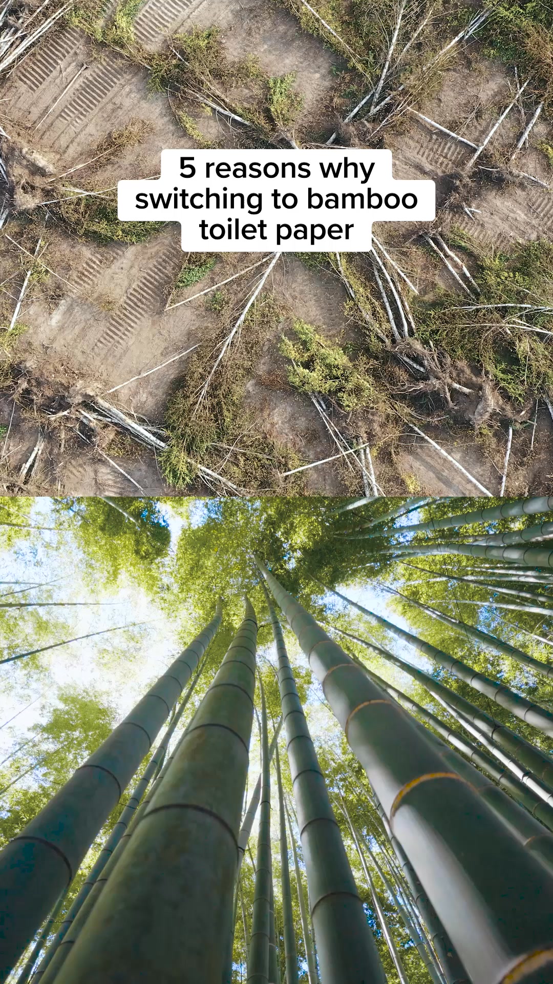 Who Gives A Crap ad: Over 1 million trees are cut down daily to make traditional toilet paper. For us, that's a million too many. Switch to toilet paper that kee