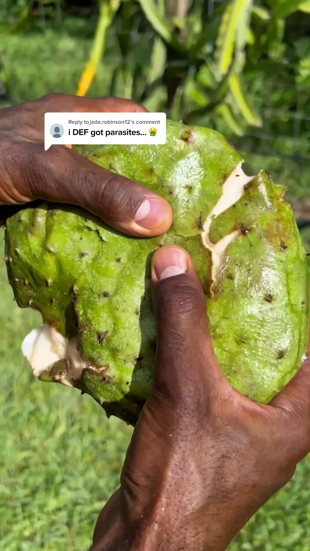 Serene Herbs ad: Save Up to 63% on Soursop Bitters Today