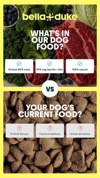Bella+Duke ad: Get 40% off your first box