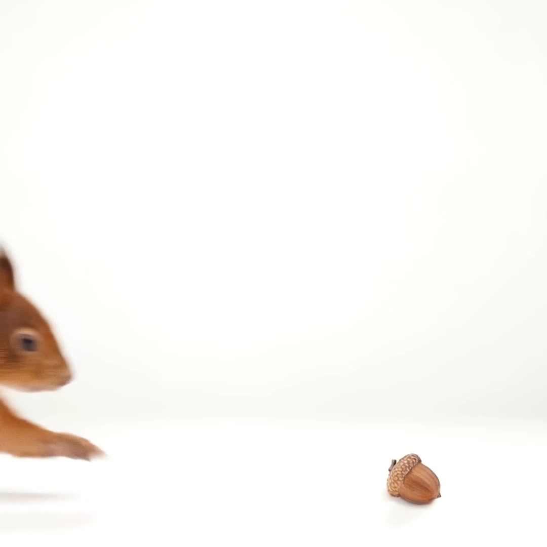 Pip&Nut ad: Keep the jars coming