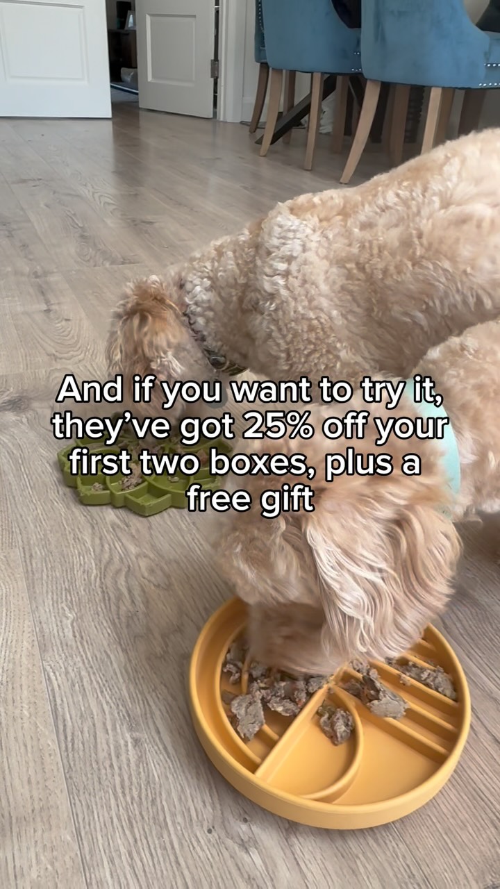 Butternut Box ad: No more arguments with my partner over dog food since we switched to Butternut Box. And it’s the best thing we did for Bowie and Beni, they