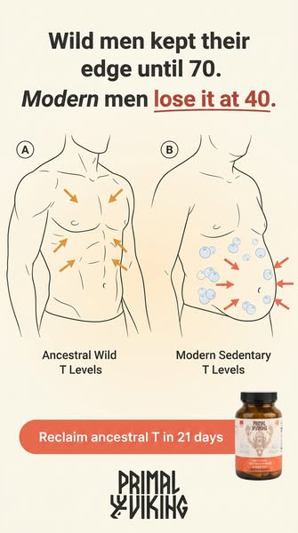 Primal Viking ad: Beer Belly & Man Boobs — Forever Gone