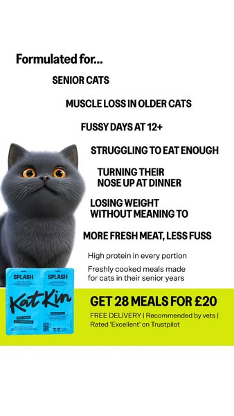 KatKin ad: 100% fresh meat for healthy cats
