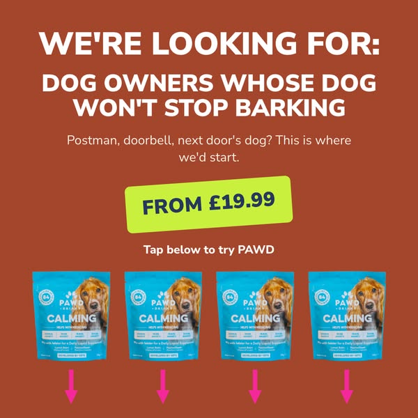 Pawd Drinks ad: Daily Calm for Anxious Dogs