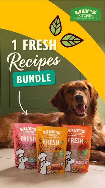 Lily's Kitchen ad: Find your dog’s favourite