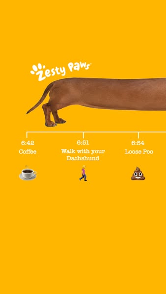 Zesty Paws UK ad: When loose poo changes the whole plan