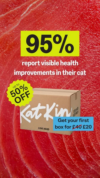 KatKin ad: Get 28 Fresh Meals For £20