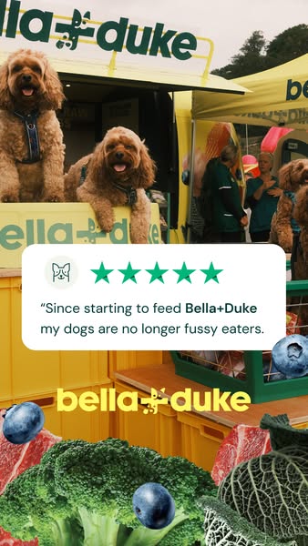 Bella+Duke ad: Get 40% off your first box