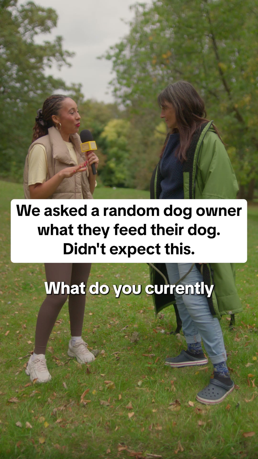Butternut Box ad: Fresh food. Happy dogs.