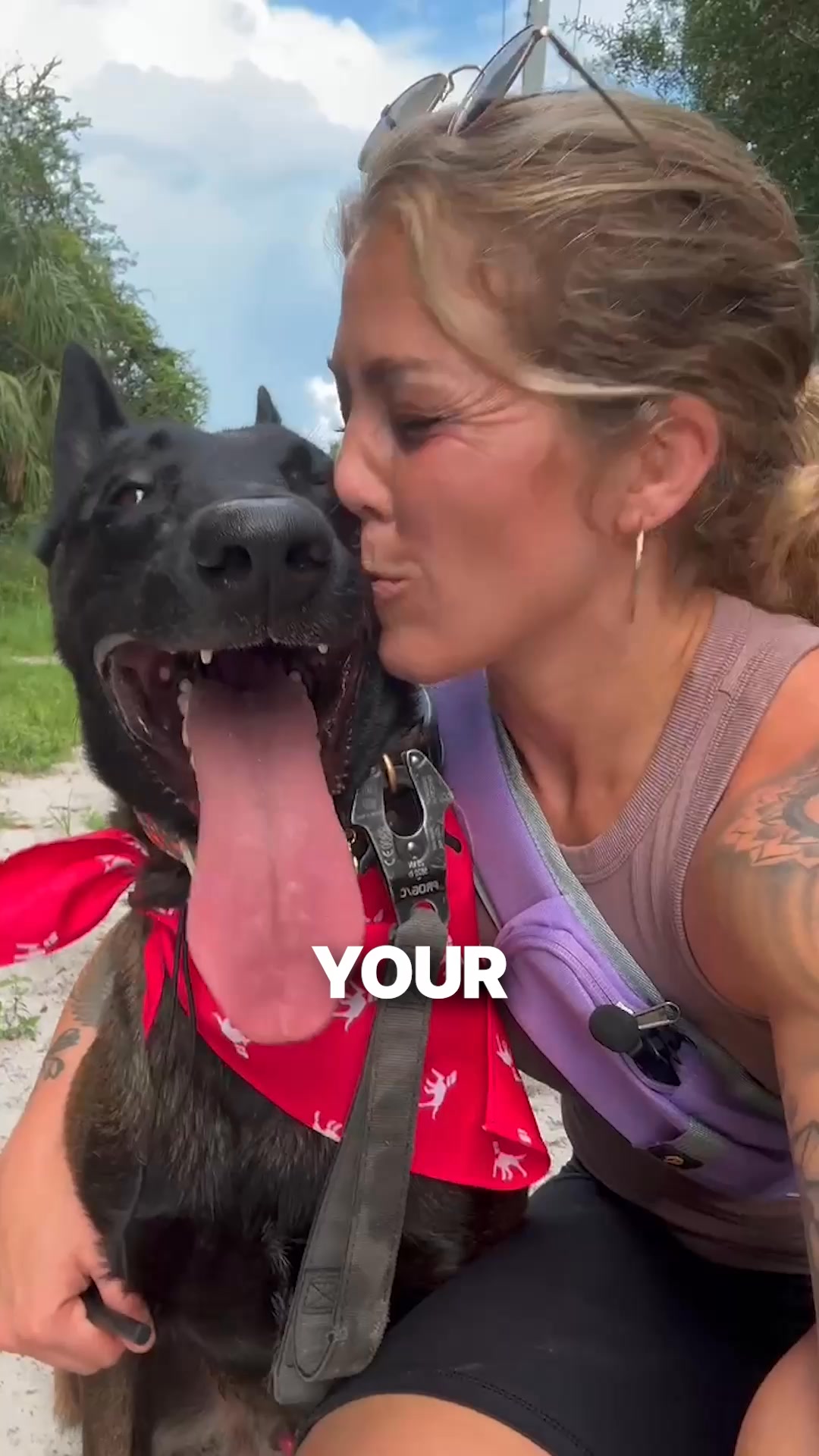 PetLab Co. ad: Your Dog’s Overall Health Might Be Missing This