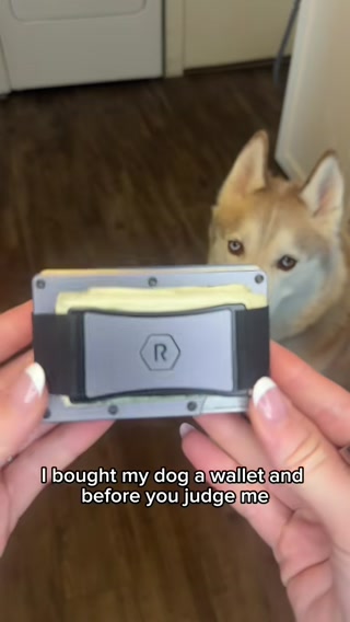 The Ridge ad: Upgrade Your Wallet