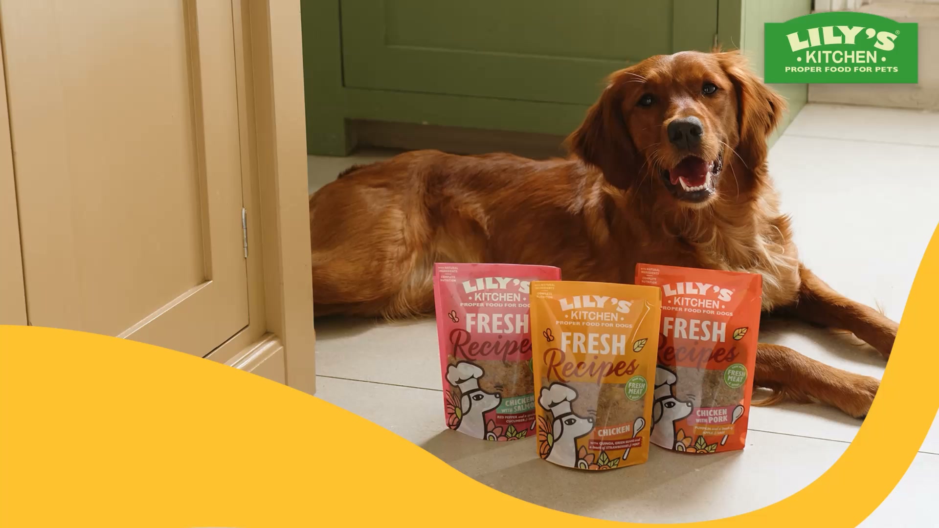 Lily's Kitchen ad: Find your dog’s favourite