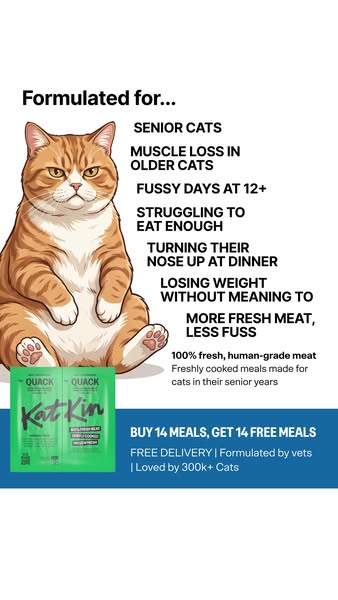 KatKin ad: 100% fresh meat for healthy cats