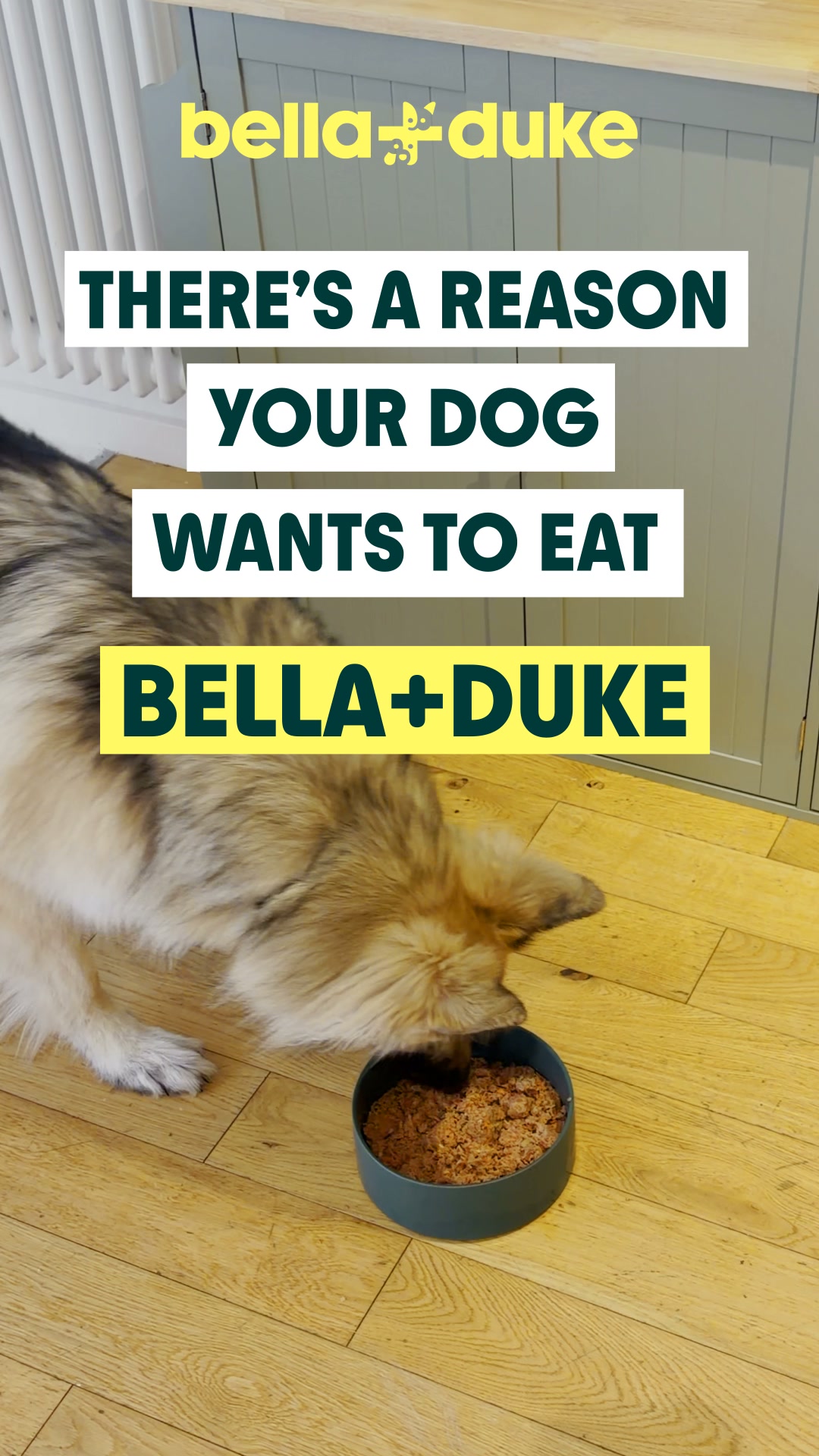 Bella+Duke ad: Get 40% off your first box