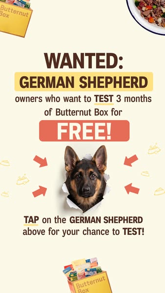 Butternut Box ad: 🐶 WANTED: GERMAN SHEPHERD owners! 🐶