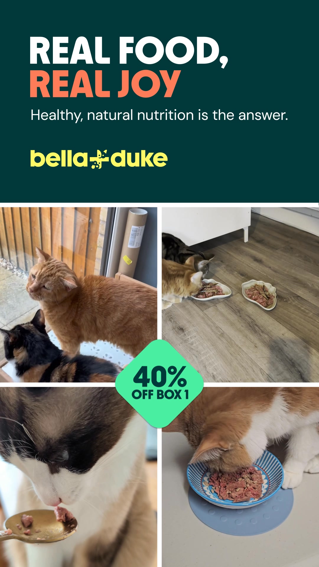 Bella+Duke ad: Get 40% off your first box