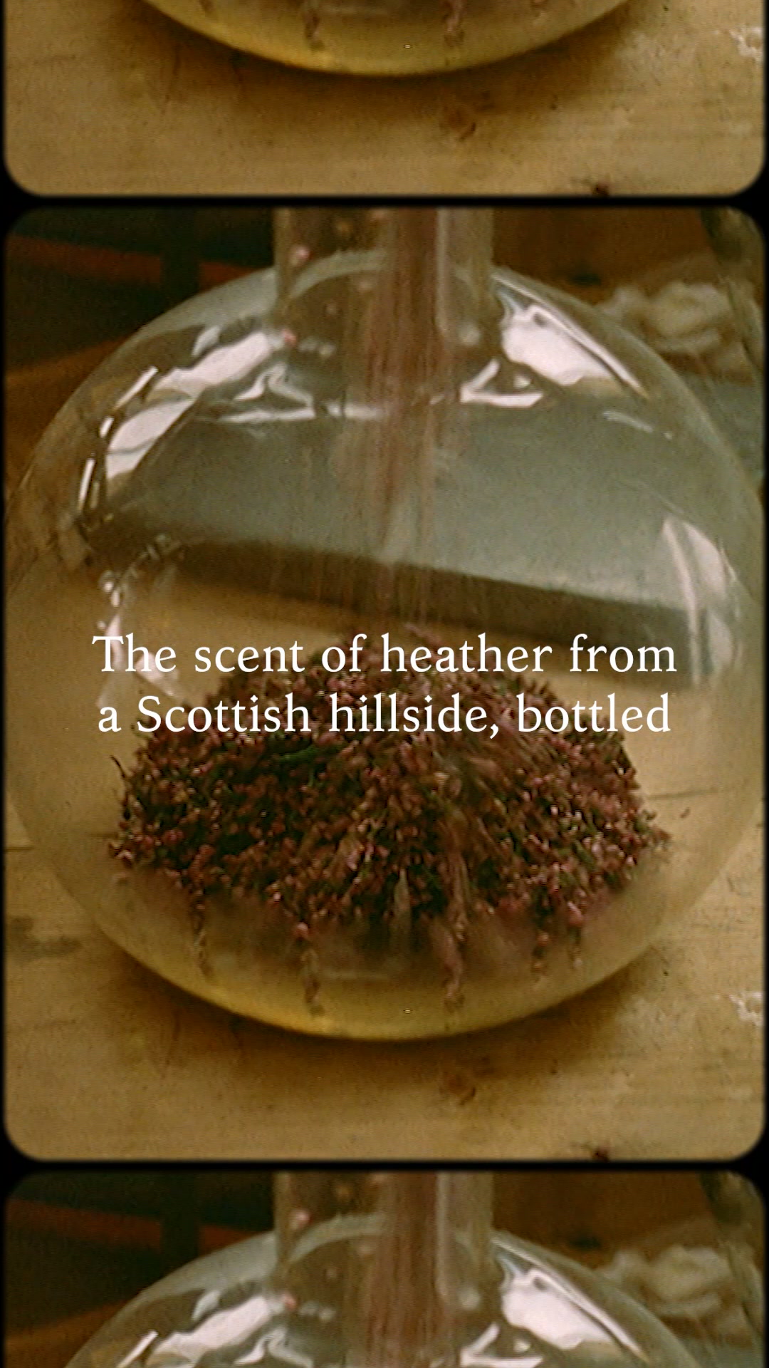 Ffern ad: Small-Batch Natural Fragrance.