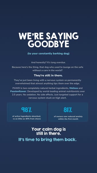 Pawd Drinks ad: Daily Calm for Anxious Dogs